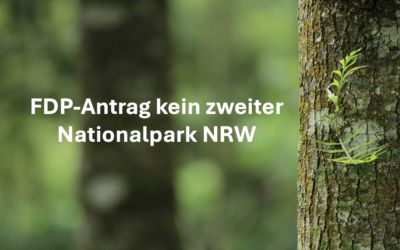 FDP-Antrag zum zweiten Nationalpark in NRW
