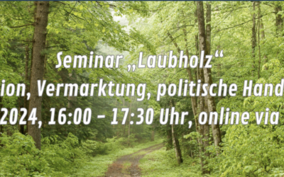 Web-Seminar Laubholzgespräche