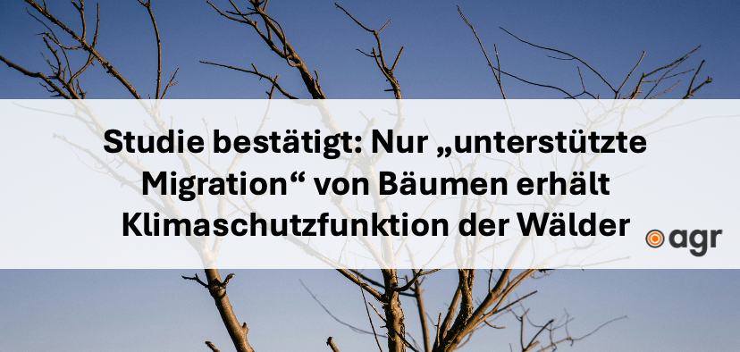 Neue Studie bestätigt: Waldumbau gelingt nur durch “unterstützte Migration”