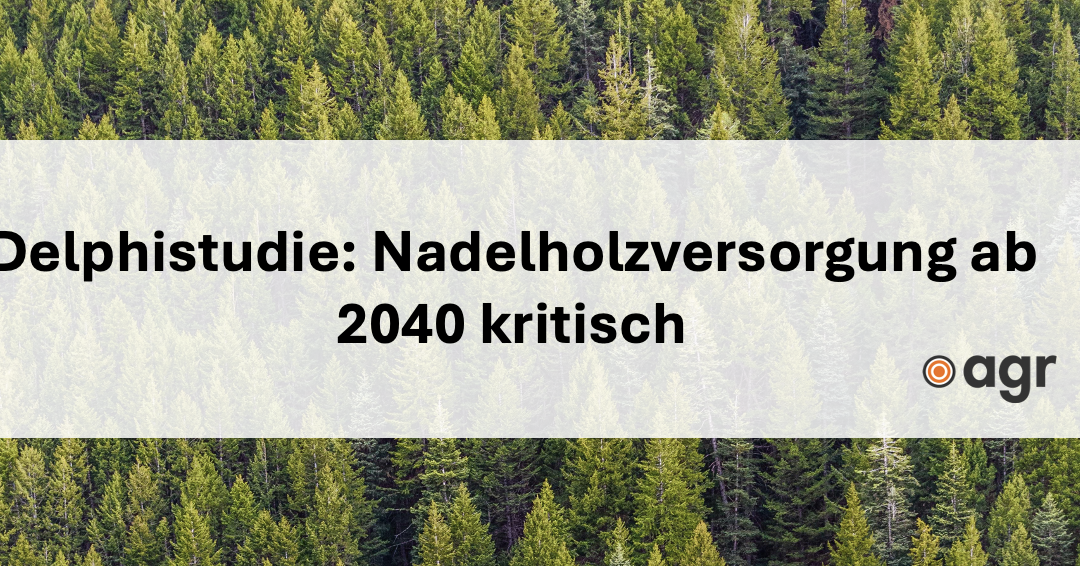 Delphistudie: Nadelholzversorgung ab 2040 kritisch