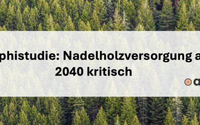 Delphistudie: Nadelholzversorgung ab 2040 kritisch