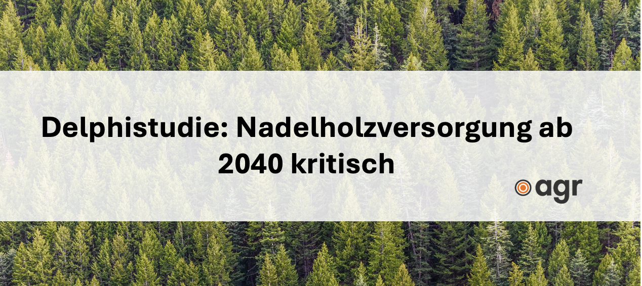 Delphistudie: Nadelholzversorgung ab 2040 kritisch