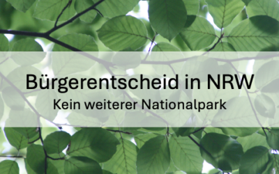 Kein weiterer Nationalpark in NRW