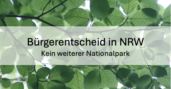 Kein weiterer Nationalpark in NRW