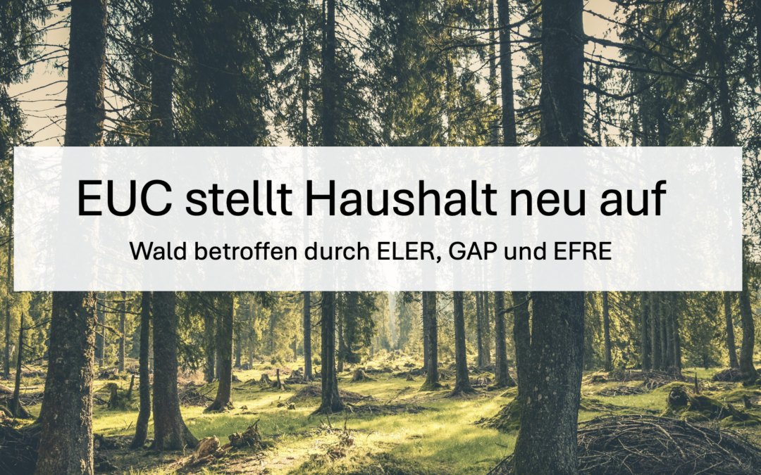 EUC strukturiert Haushaltsmittel um – Wald betroffen