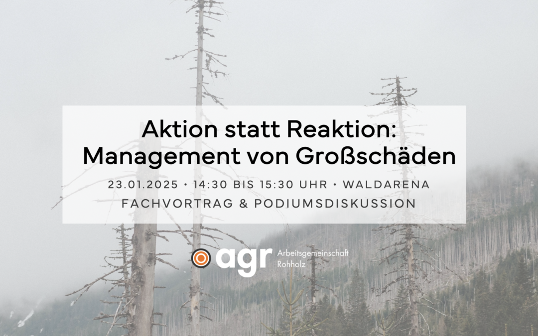 Aktion statt Reaktion: Management von Großschäden