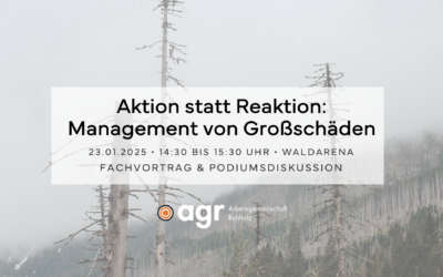 Aktion statt Reaktion: Management von Großschäden