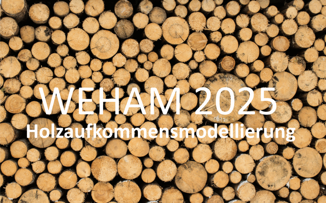Holzaufkommensmodellierung 2025: AGR fordert mehr Strategien für die Rohstoffversorgung