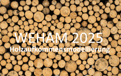 Holzaufkommensmodellierung 2025: AGR fordert mehr Strategien für die Rohstoffversorgung