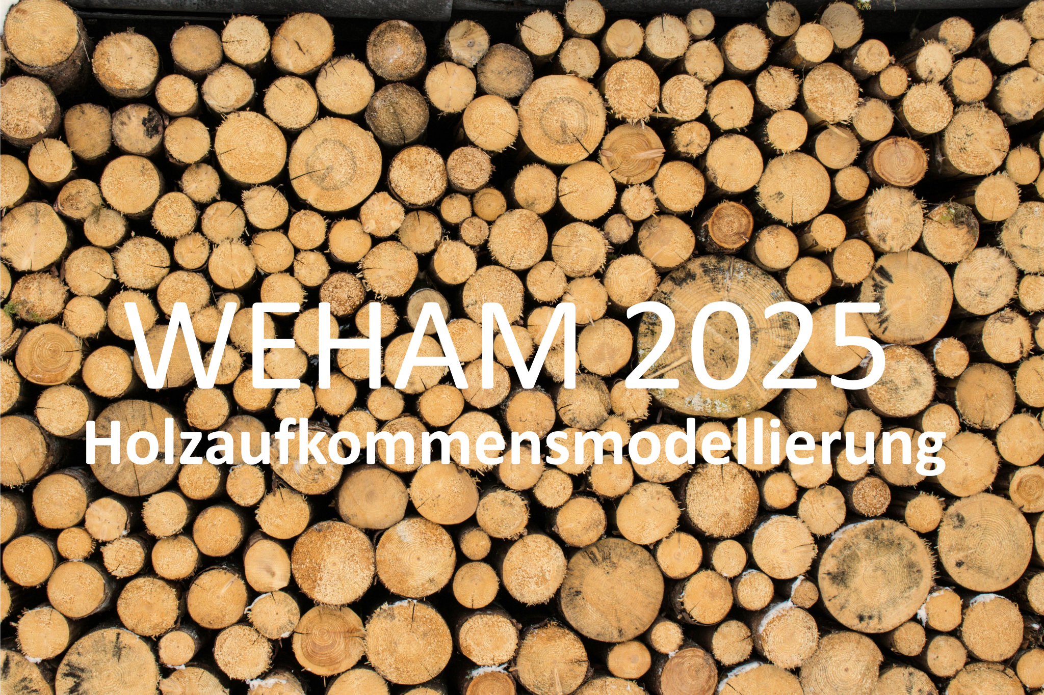 WEHAM 2025_2