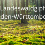 9. Landeswaldgipfel Baden-Württemberg
